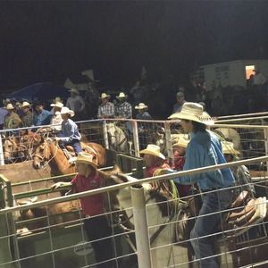 Meet your Posher, Shandon